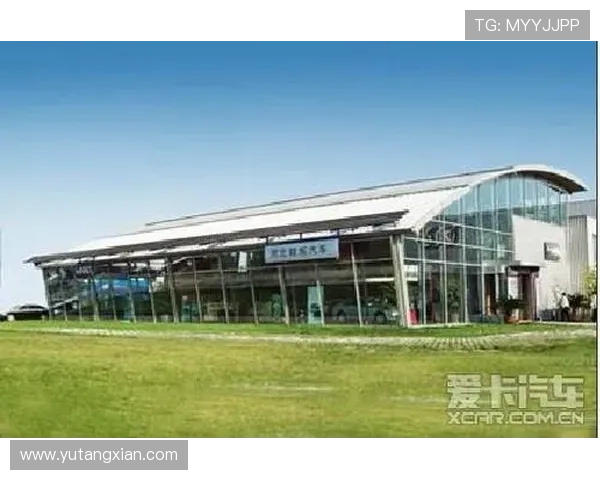 广州网球队的精神世界与训练理念深度解析 广州网球队的精神世界与训练理念深度解析